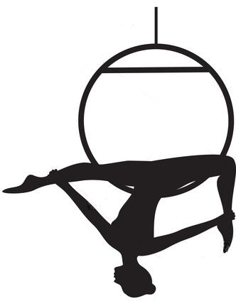 Pole dance et sports aériens à Grenoble Poisat